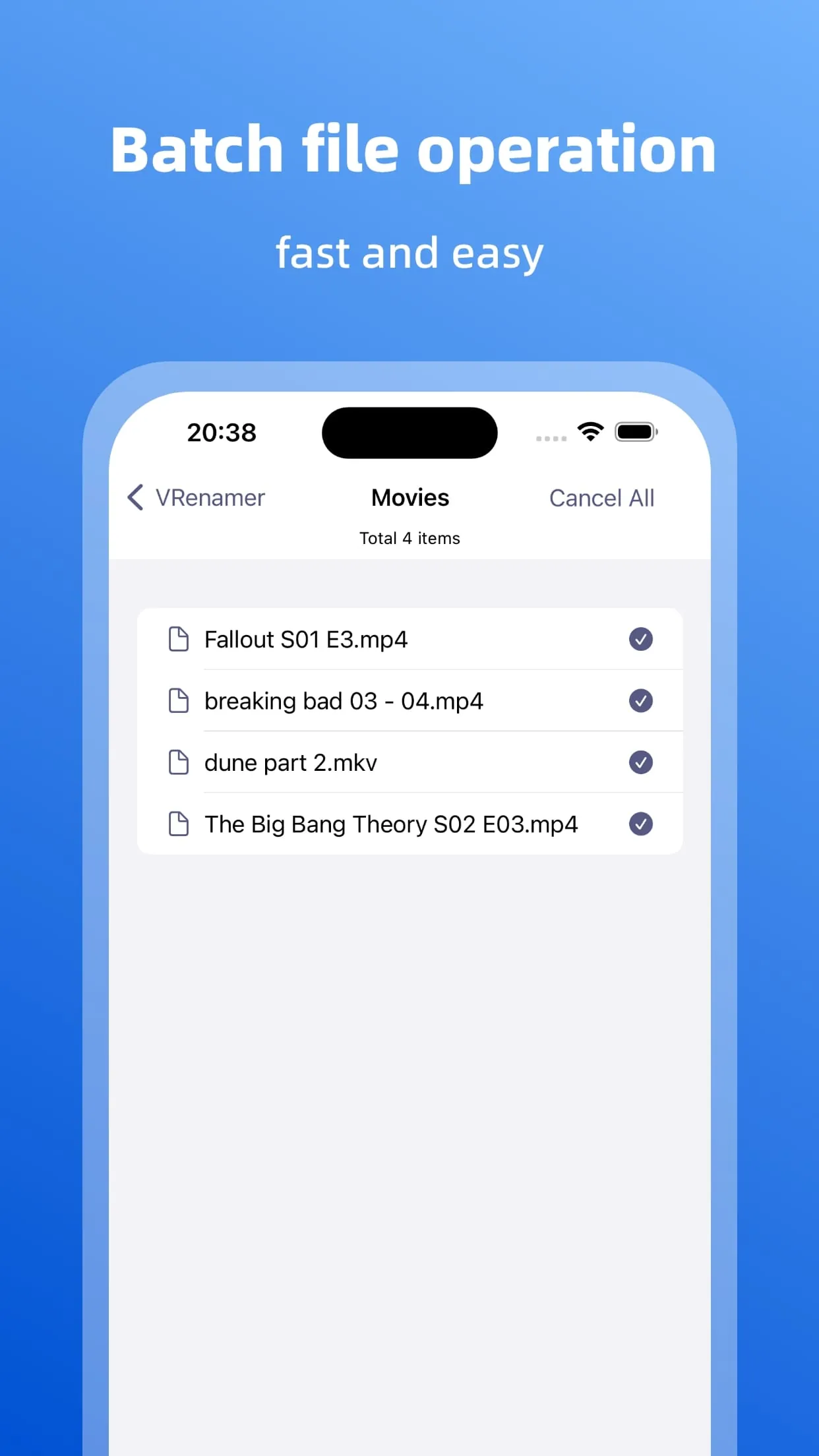 VRenamer 剧集命名格式设置界面